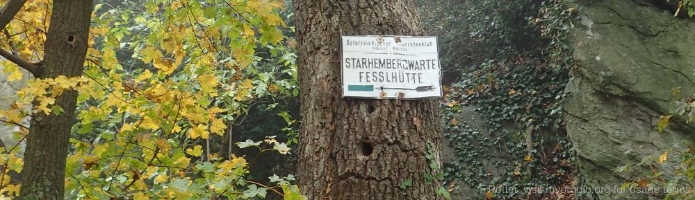 Organizational Biology