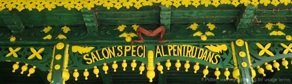 Organizational Biology