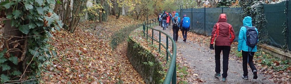 Organizational Biology