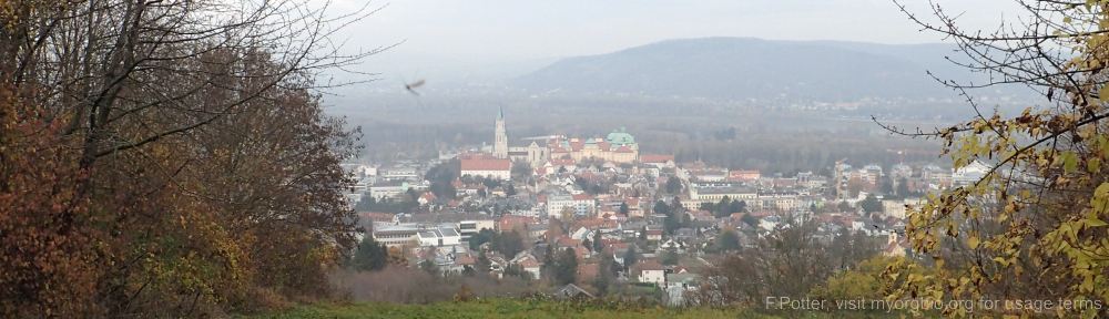 Organizational Biology