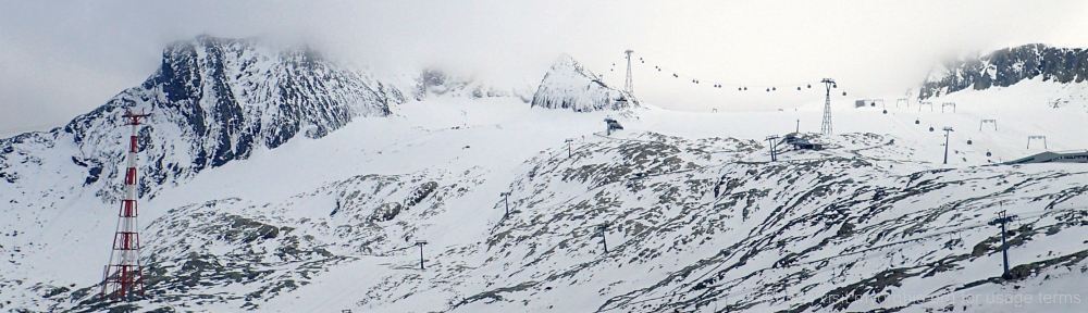 Organizational Biology