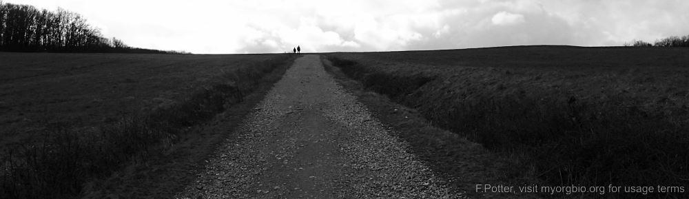 Organizational Biology