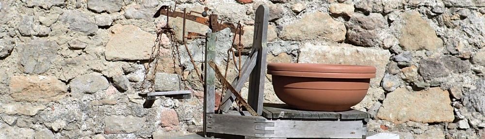 Organizational Biology