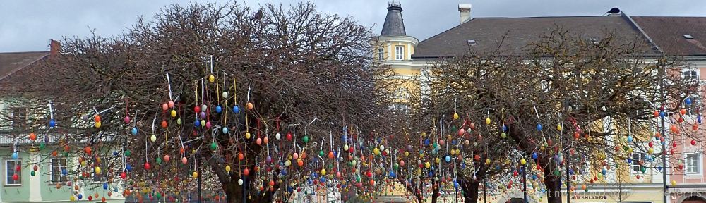 Organizational Biology