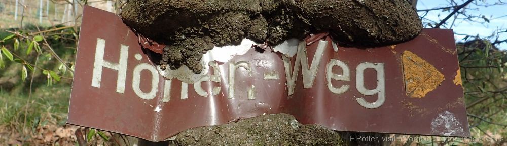 Organizational Biology