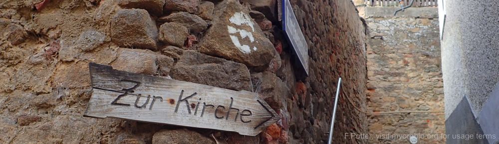 Organizational Biology