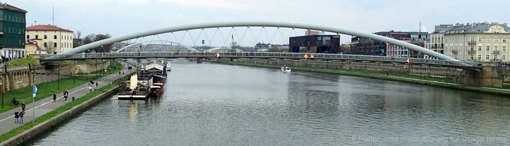 Organizational Biology