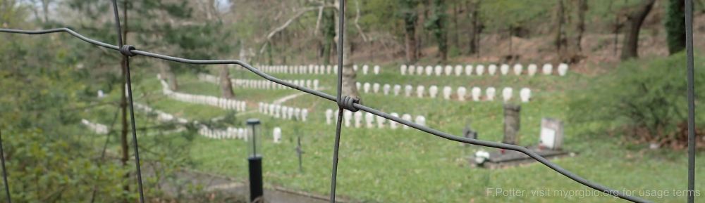 Organizational Biology