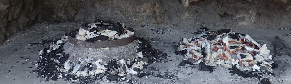 Organizational Biology