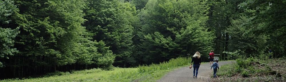 Organizational Biology