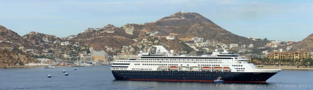 Organizational Biology