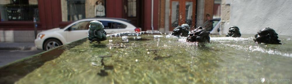 Organizational Biology