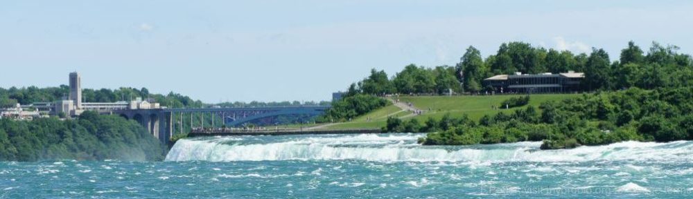 Organizational Biology