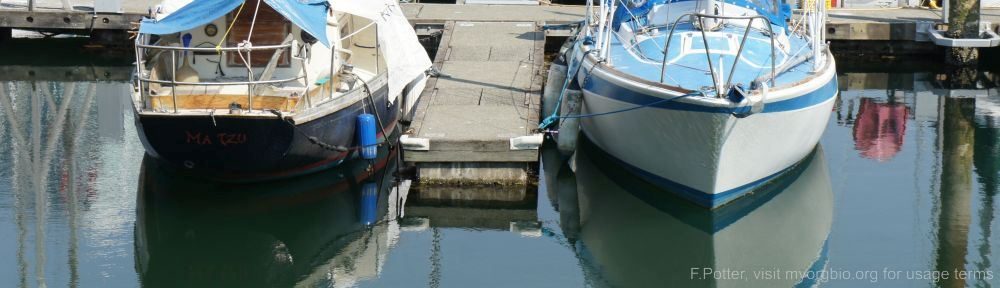 Organizational Biology