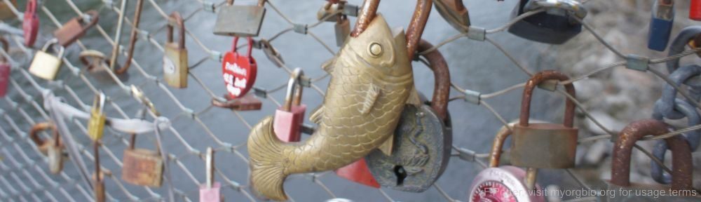 Organizational Biology