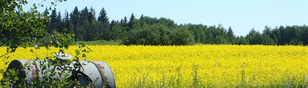 Organizational Biology