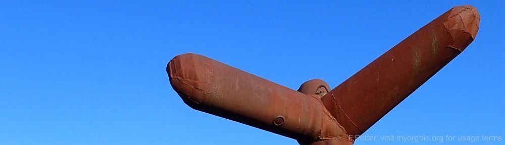 Organizational Biology