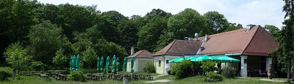 Organizational Biology