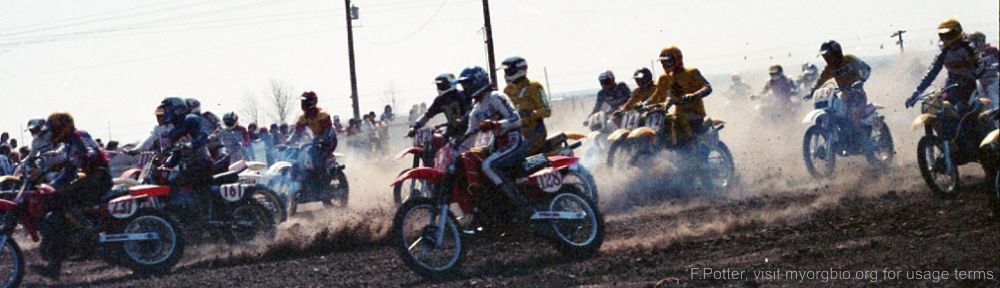 Organizational Biology