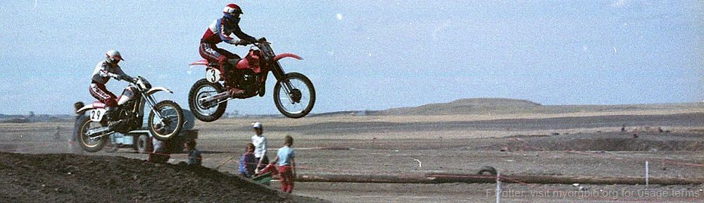 Organizational Biology