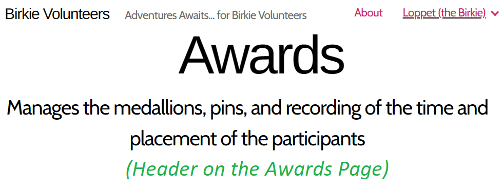 Example of the Header for the Awards Page on the Temporary Birkie Website