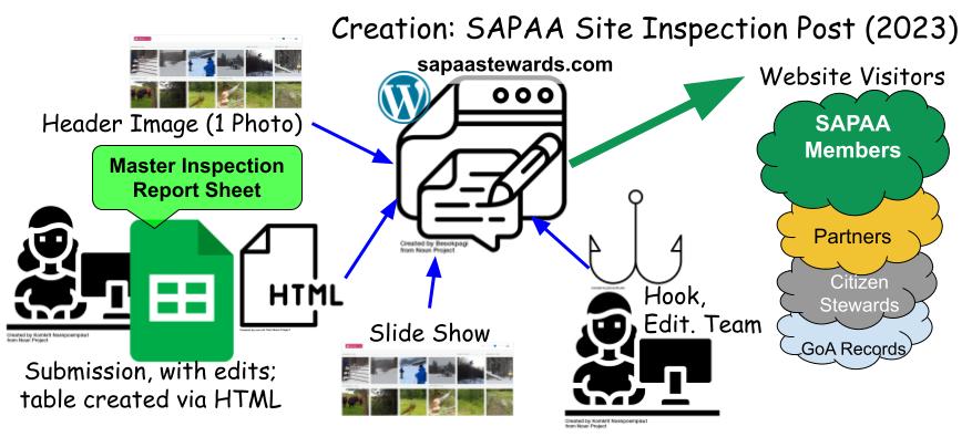 The somewhat convoluted SAPAA Site Inspection Post Process for v2023.