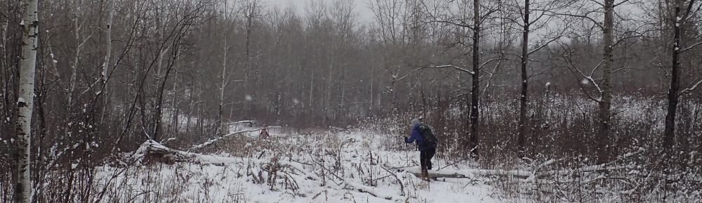 Organizational Biology