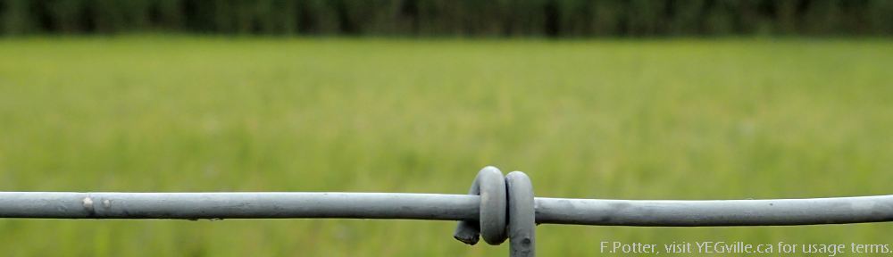 Organizational Biology