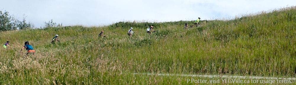 Organizational Biology