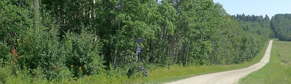 Looking east along the southern border of the NA, Medicine Lodge Hills NA, 2024-08-14, P. Potter.