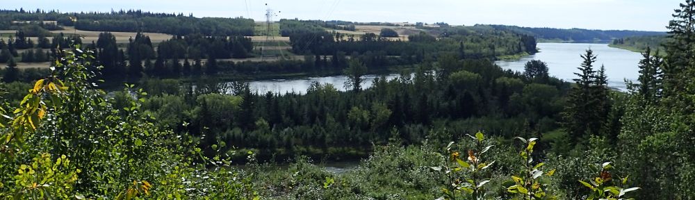 Looking southwest across the North Saskatchewan River; the island portion of the NA is visible mid-stream, Victoria Settlement NA, 2024-08-30, P. Potter.