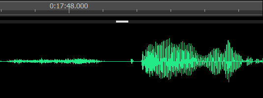 The wave to the left is an inhalation. The larger wave to the right is an 'umm'. Both were deleted from the raw footage.