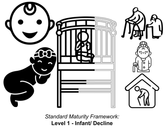 Standard Maturity Framework, Step 1: Infant/ Decline